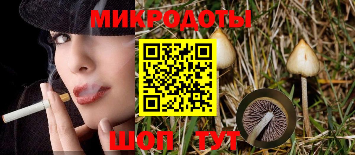 Псилоцибиновые грибы прущие грибы Луга