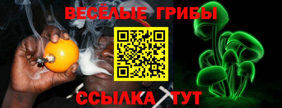 Псилоцибиновые грибы мухоморы  Вход с VPN  Галлюциногенные грибы ЛСД  Луга 